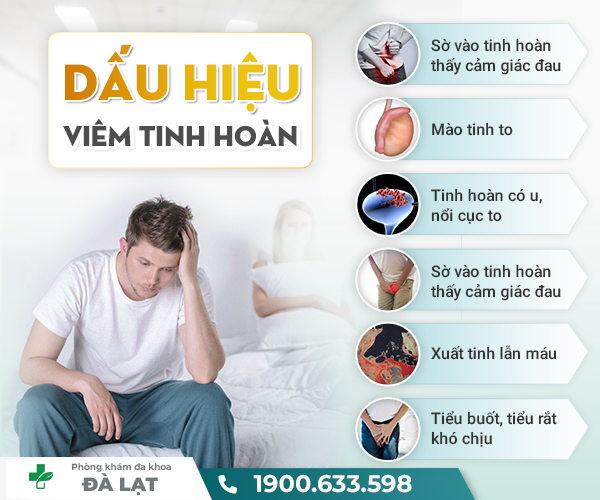 Hình ảnh minh họa